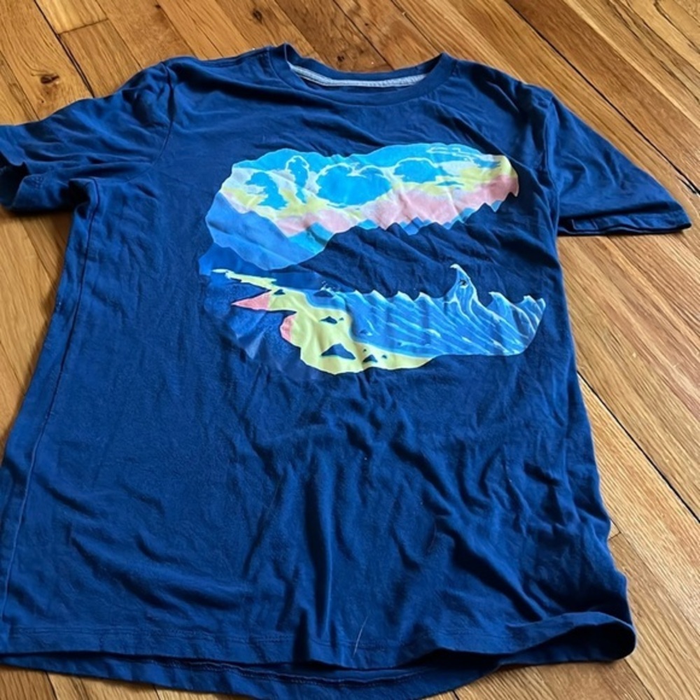 Boys Old Navy Dino face nature surf T shirt size 14/16 fit is 10/12 gently used.